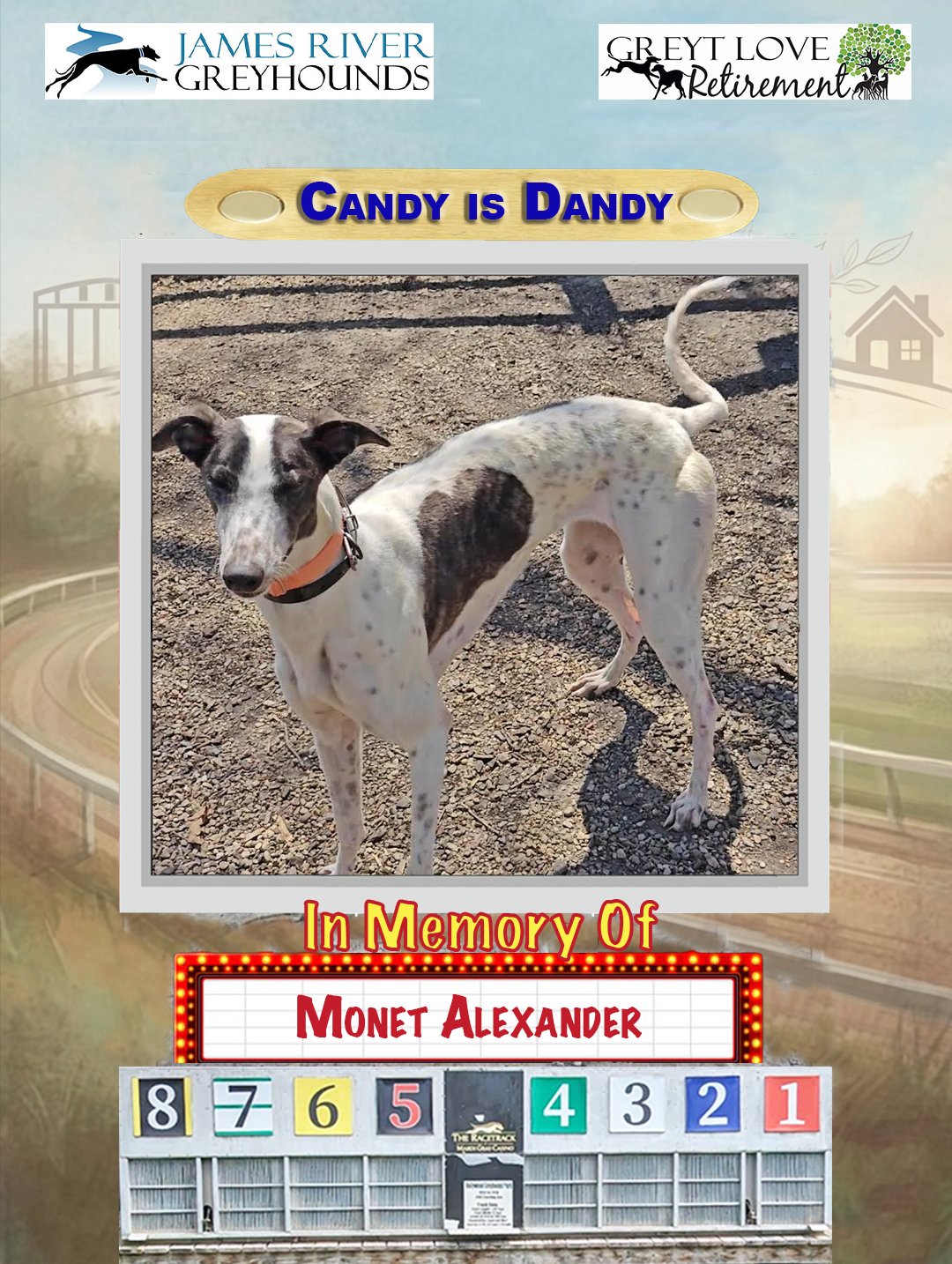 Candy Is Dandy
