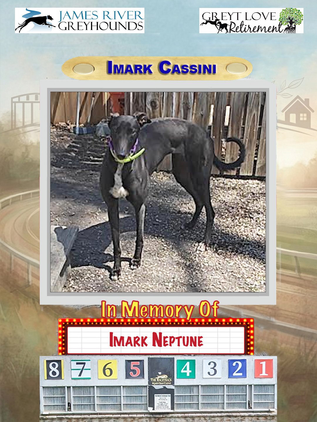 Imark Cassini