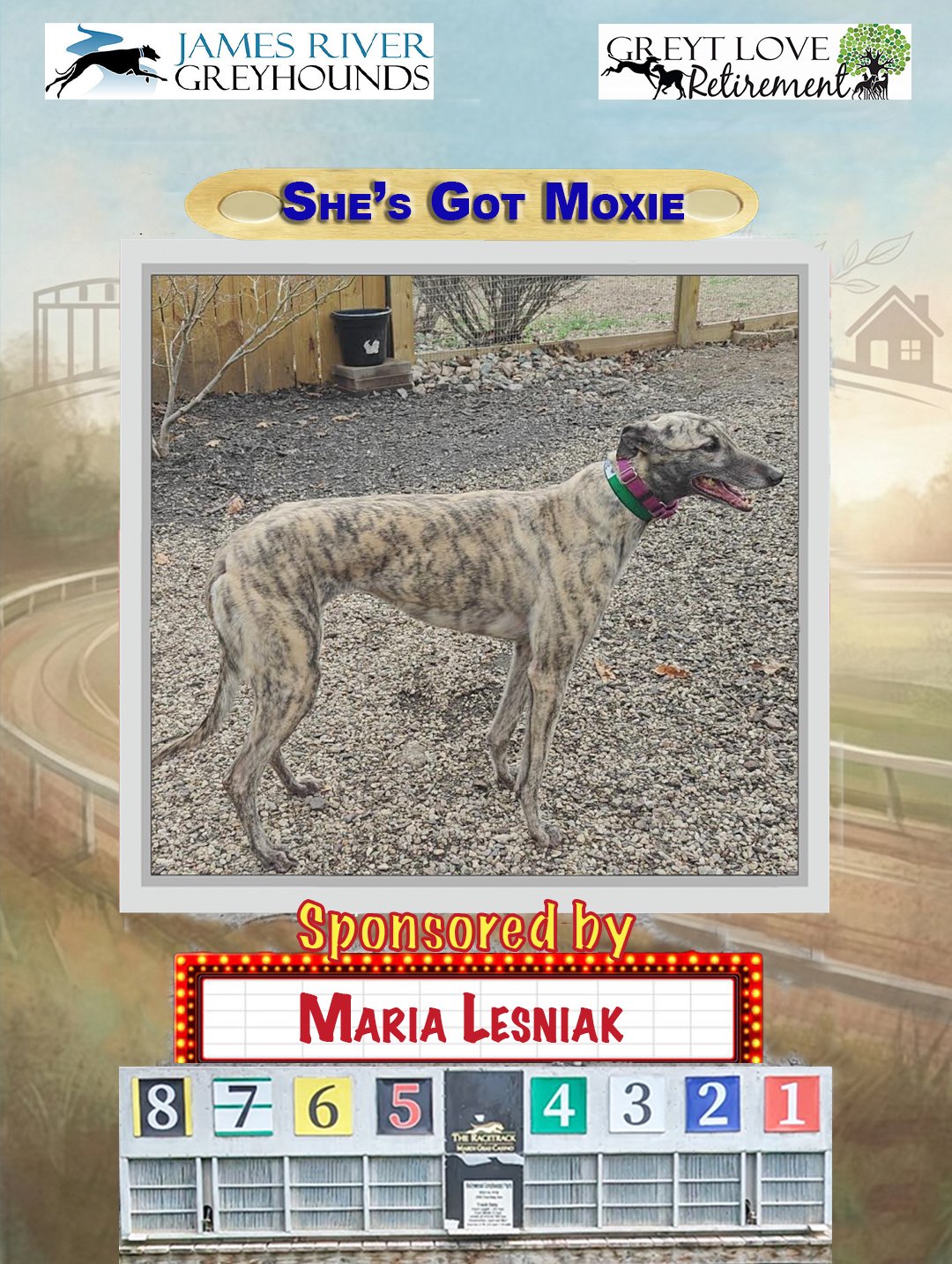 She's Got Moxie