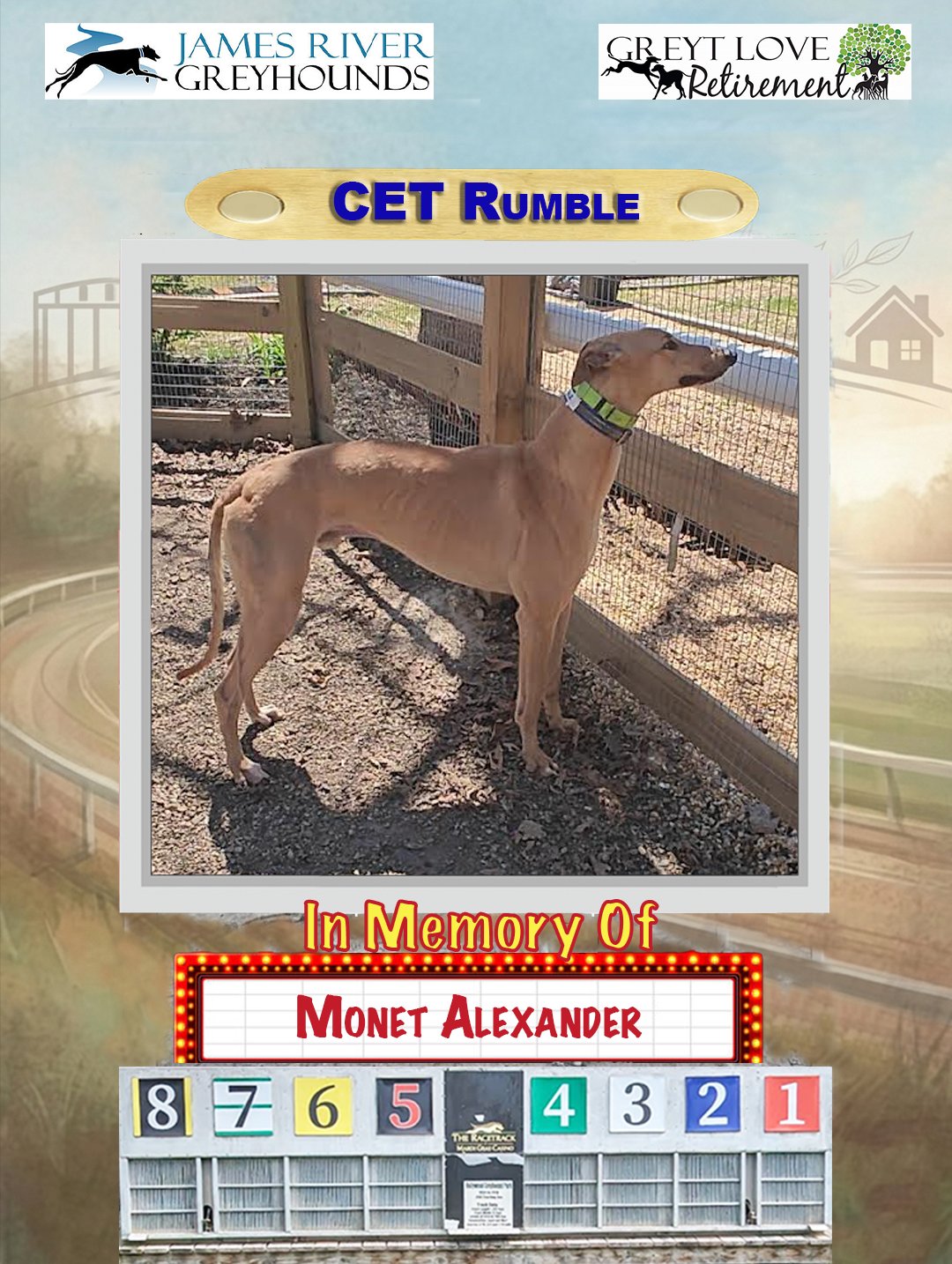 CET Rumble