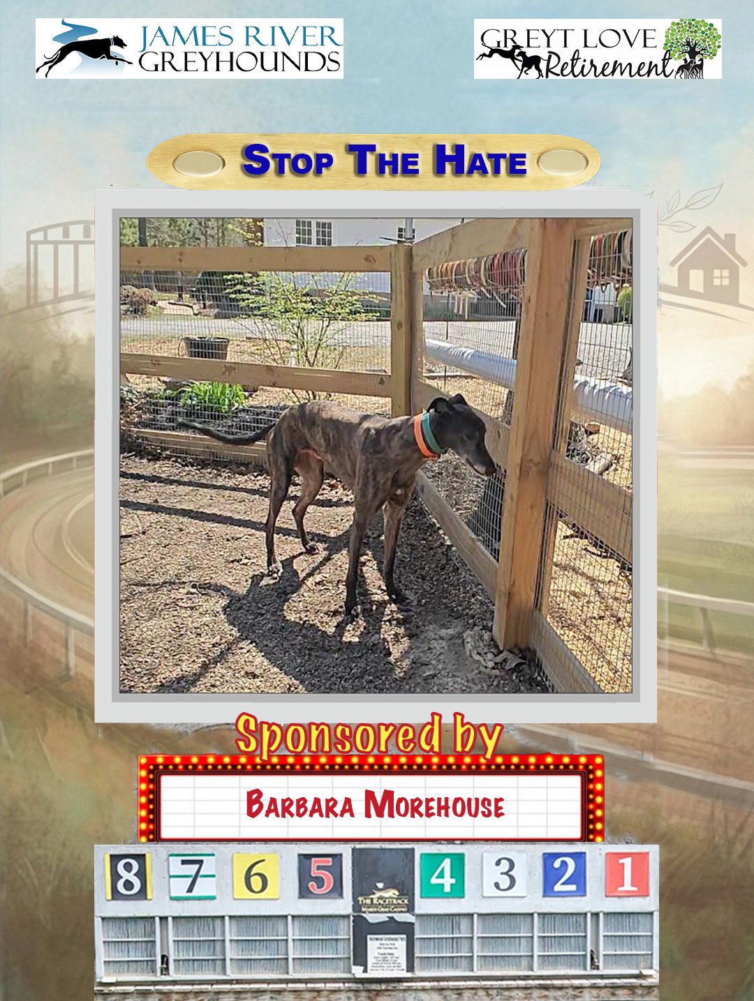 Stop The Hate