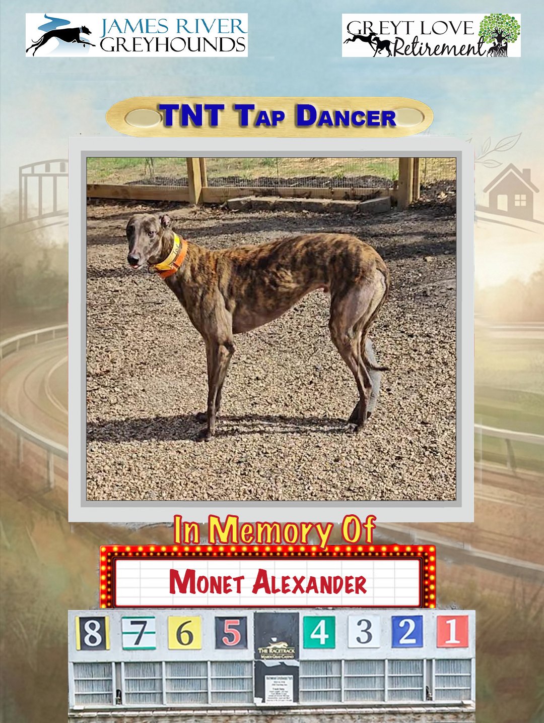 TNT Tap Dancer