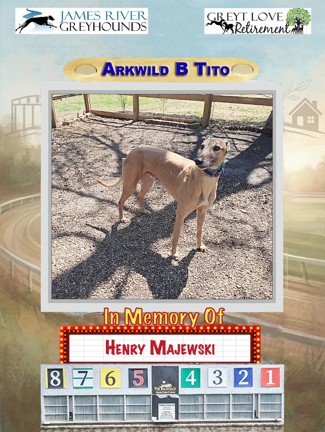 Arkwild B Tito